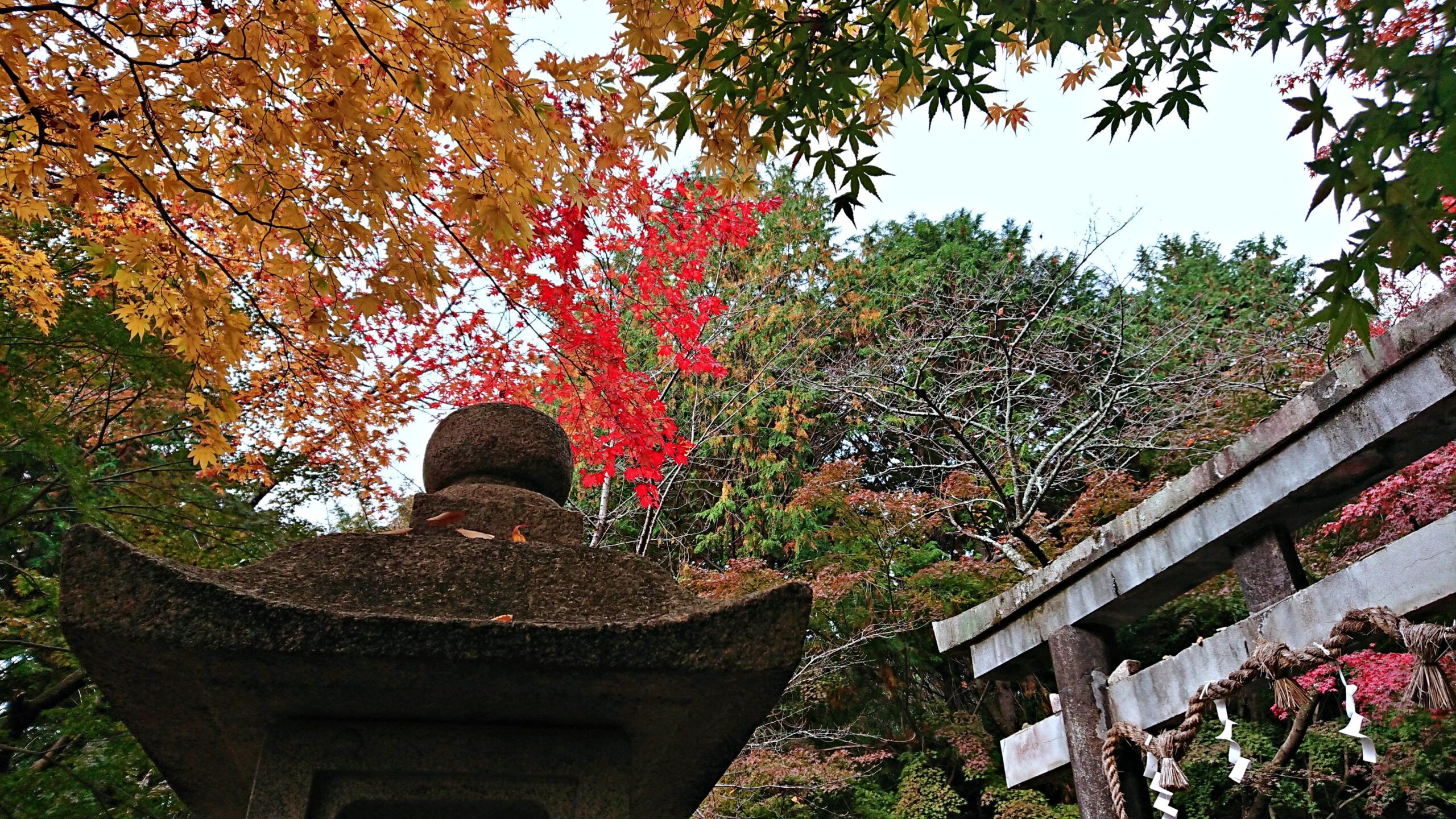 大原野神社